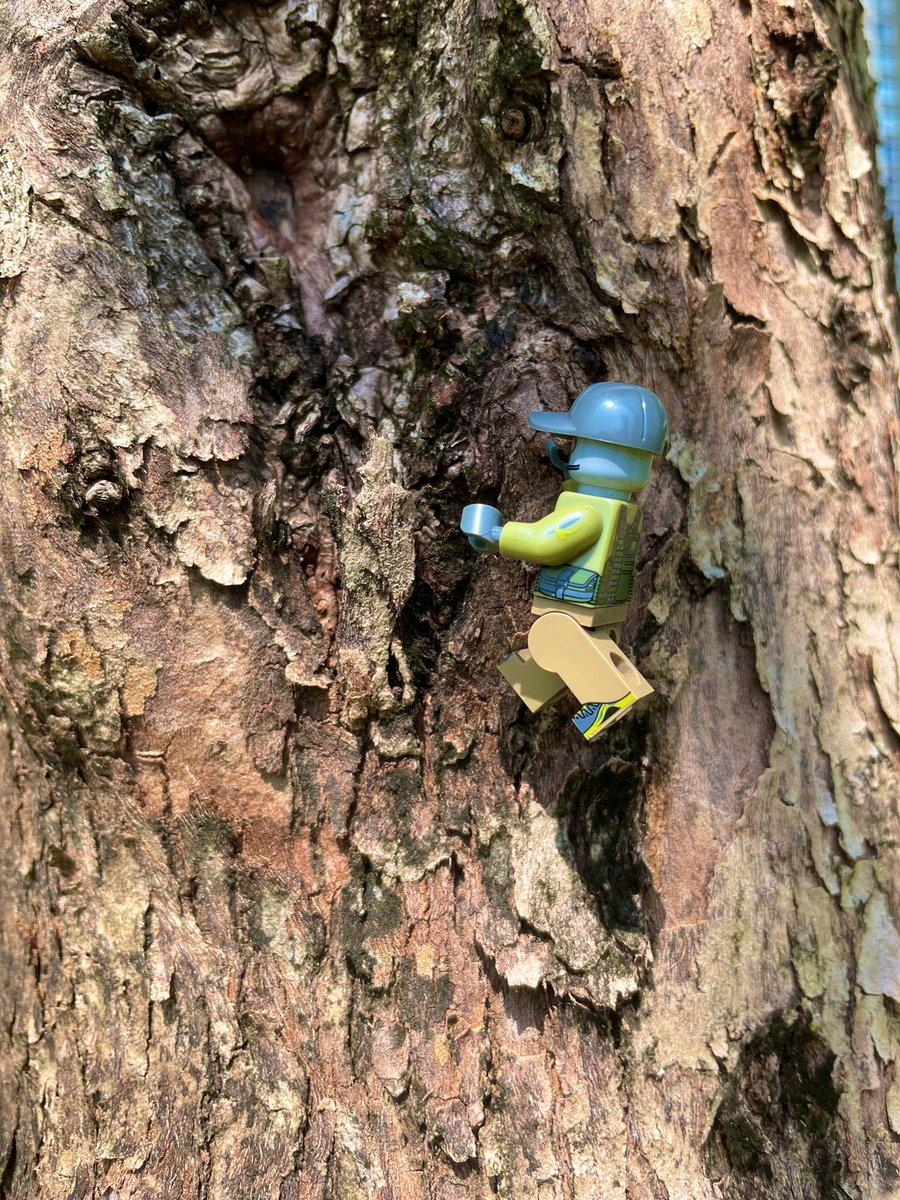 csjoyer's tweet image. Taking my agent out for a walk in the great outdoors.