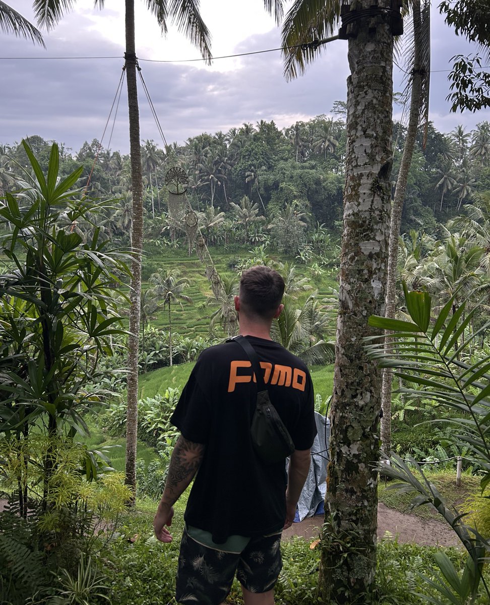 FOMO Magazine tweet media