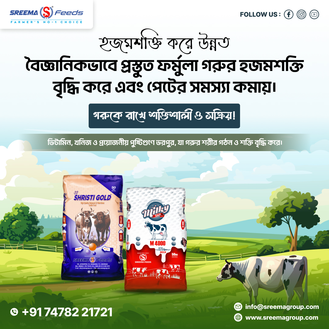 sreema_feeds's tweet image. 🌾 সুস্থ গরু, বেশি দুধ, বেশি লাভ! 🐮
আপনার গরুর সুস্বাস্থ্য ও দুধ উৎপাদন বৃদ্ধির রহস্য এখন হাতের নাগালে — শ্রীমা ক্যাটল ফিডস – চাষির নং ১ পছন্দ।
📞74782 21721
🌐sreemagroup.com
📩 Mail: info@sreemagroup.com
.
#SreemaFeeds #CattleFeed #FarmersChoice #DairyFarming
