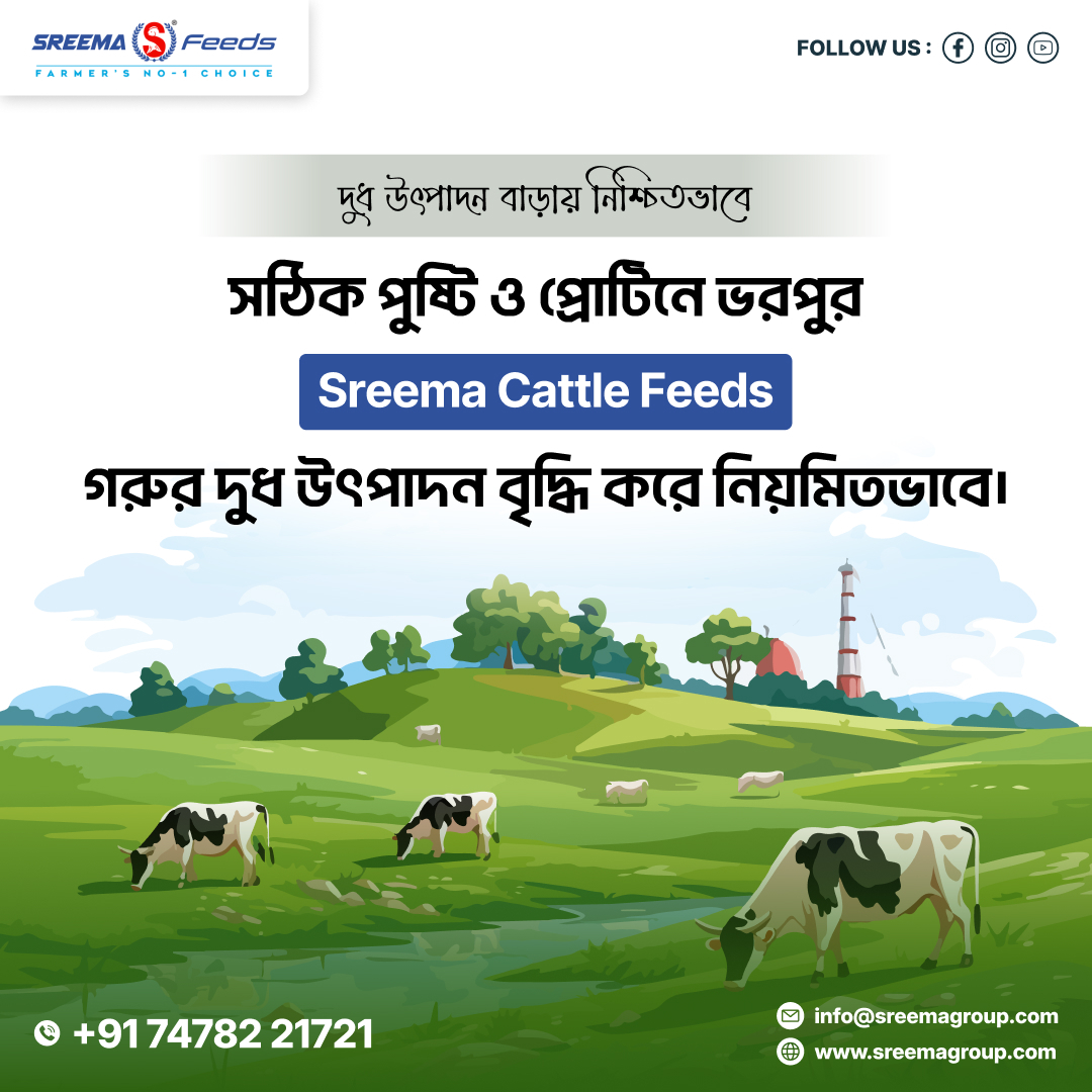 sreema_feeds's tweet image. 🌾 সুস্থ গরু, বেশি দুধ, বেশি লাভ! 🐮
আপনার গরুর সুস্বাস্থ্য ও দুধ উৎপাদন বৃদ্ধির রহস্য এখন হাতের নাগালে — শ্রীমা ক্যাটল ফিডস – চাষির নং ১ পছন্দ।
📞74782 21721
🌐sreemagroup.com
📩 Mail: info@sreemagroup.com
.
#SreemaFeeds #CattleFeed #FarmersChoice #DairyFarming