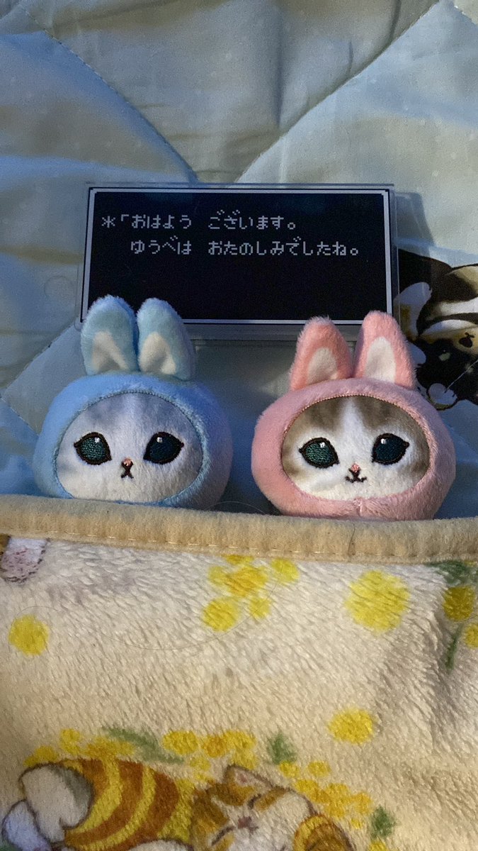 てつや (@kapo_neko) / Posts / X