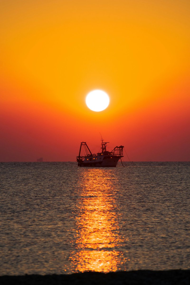 globalmar_vigo's tweet image. At sea, autonomy is everything.

Our onboard water filtration systems guarantee efficiency, safety, and continuous performance on large vessels and industrial fleets. Real performance for real operations. ⚓

#MaritimeIndustry #Shipping #MaritimeTech