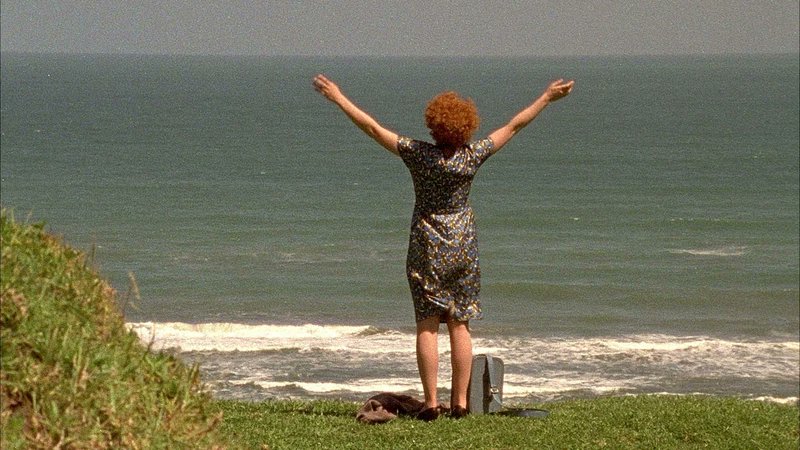 AnalogueFilmScotland tweet media