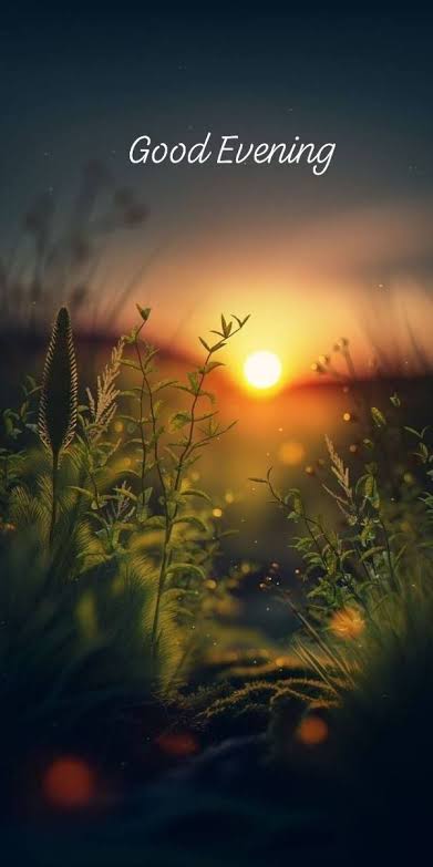 PolicyDataLab's tweet image. 🌇 Good Evening!
Let the worries of the day fade away with the sunset — tomorrow brings new light, new strength, and new beginnings. ✨🌿