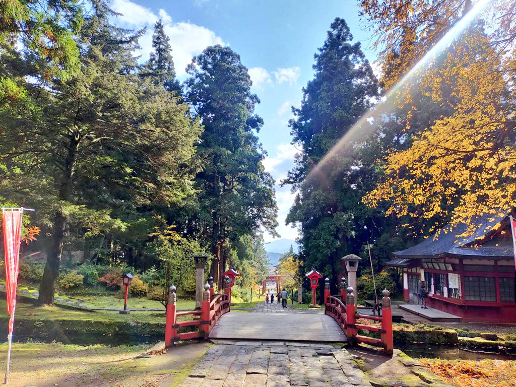 北海道にはない歴史を感じてきました🍁
明日から別の地へ（仕事です🥲）