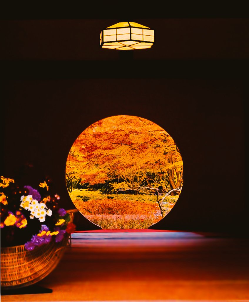 ねこまた。 (@2IivuUY2Tf73393) / Posts / X