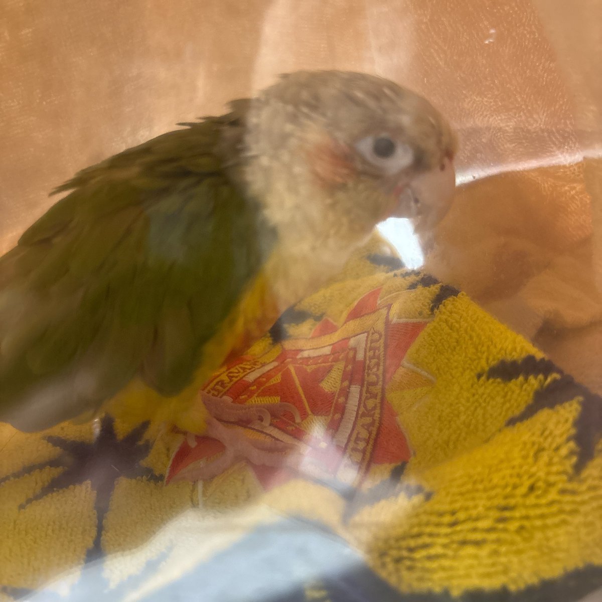 ゆうな@クロダ推し⸜❤︎⸝‍ tweet media