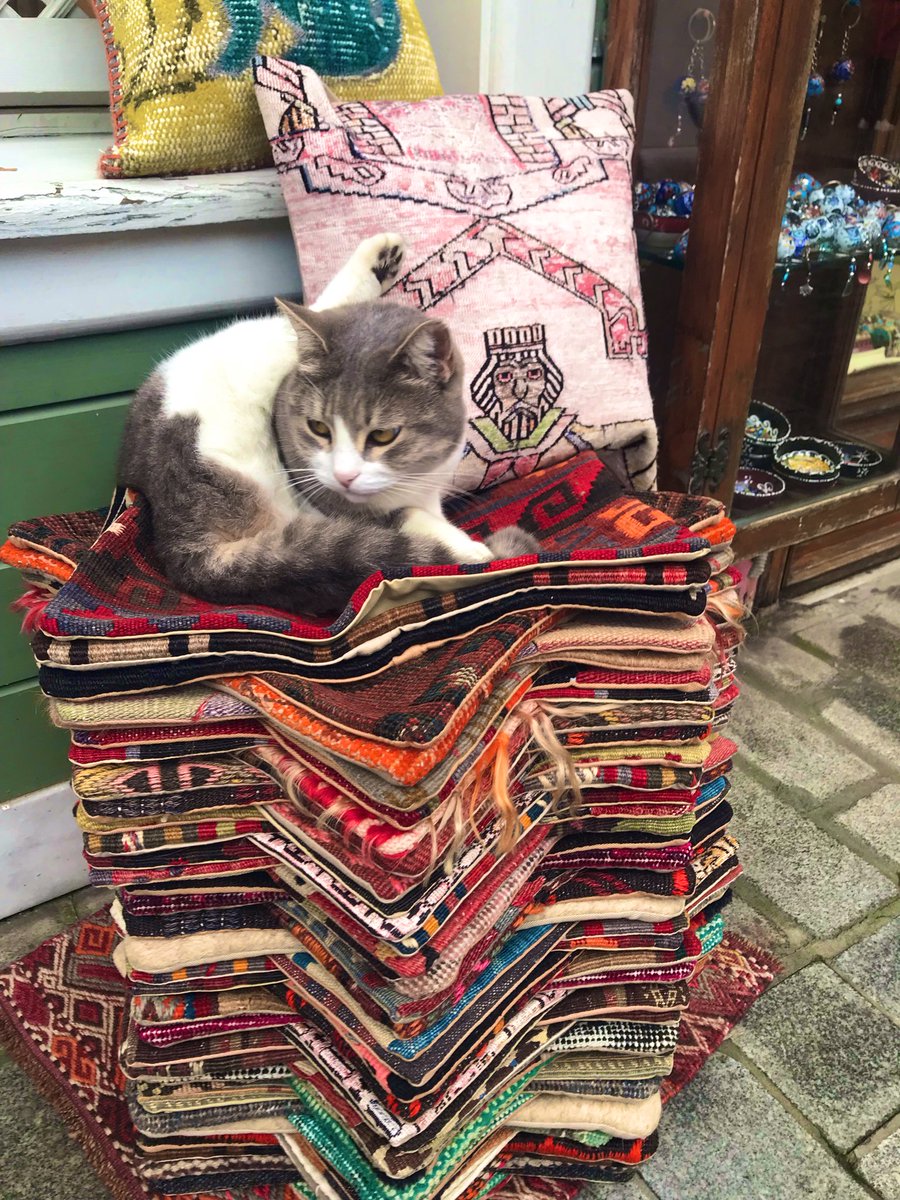 🤝☕️
#GünAkşamda.
Değerli Dostlarım.
Sevgili Arkadaşlarım.
Bir güne daha veda ederken.
Akşamın bütün güzellikleri.
Üzerinize yansısın.🤲
Kalbinizden sevgi.💛❤️🥰 
Eksik olmasın.🤲
Her şey gönlünüzce olsun.
Selam Saygı ve Sevgiyle.
🇹🇷💫🍃🌼🌺🍃💫🇹🇷