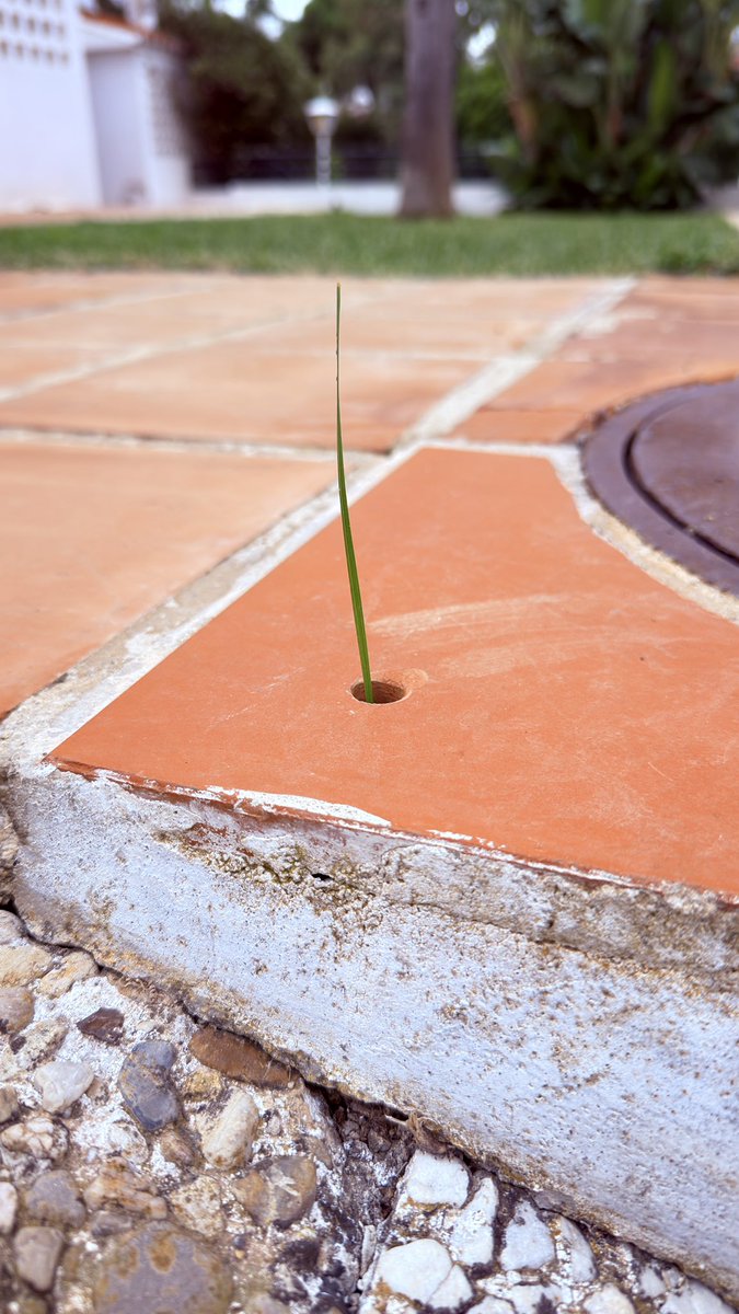 José Antonio López tweet media