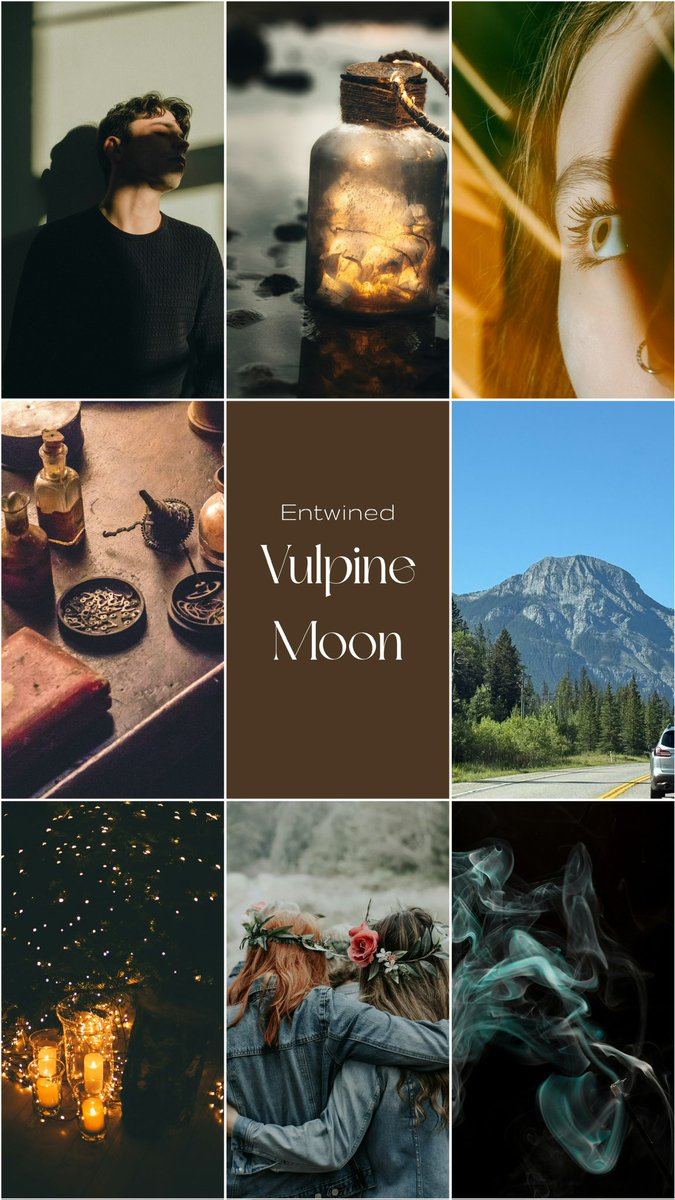 RubyMTemple's tweet photo. ENTWINED: VULPINE MOON 🌙 

🩸Blood Magic 
🌞 Reluctant Allies
🔮Nightmares
✨ Fantasy World Hidden in Urban World
🌶️ MCs bound by a curse to feel unfiltered emotions from the other 
🐉 Dragons
🔥 Slow Burn x Forbidden Romance
🌚 Mystery

#QueryPit #A #W #RF https://t.co/QWAoEv6xqM