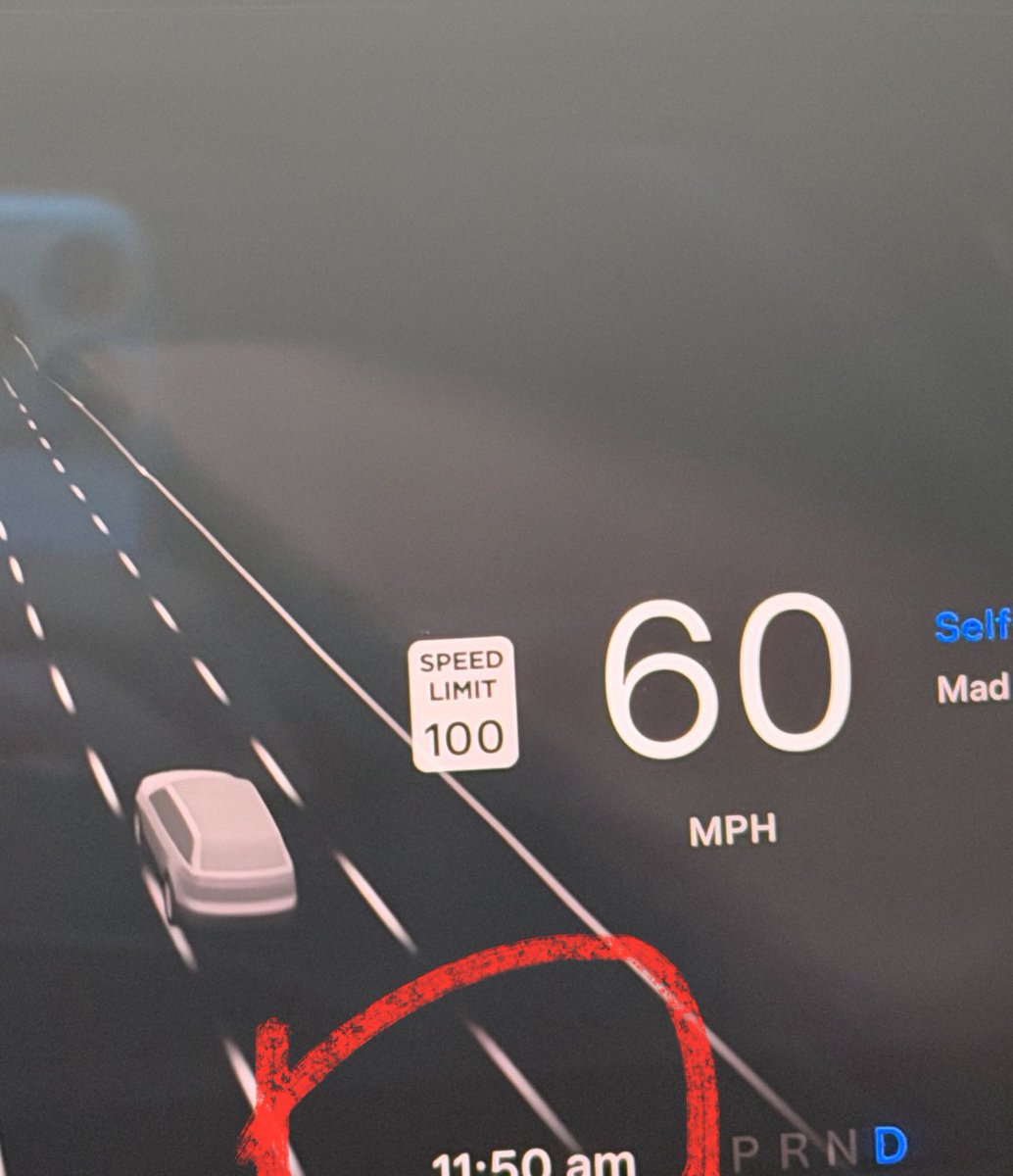 …And so it begins! 🌱 ✨👀 $Vine