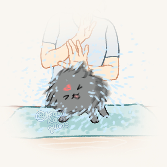 kamkamquats's tweet photo. hhyah!!

#dailybingpup https://t.co/miXXPlbpIf