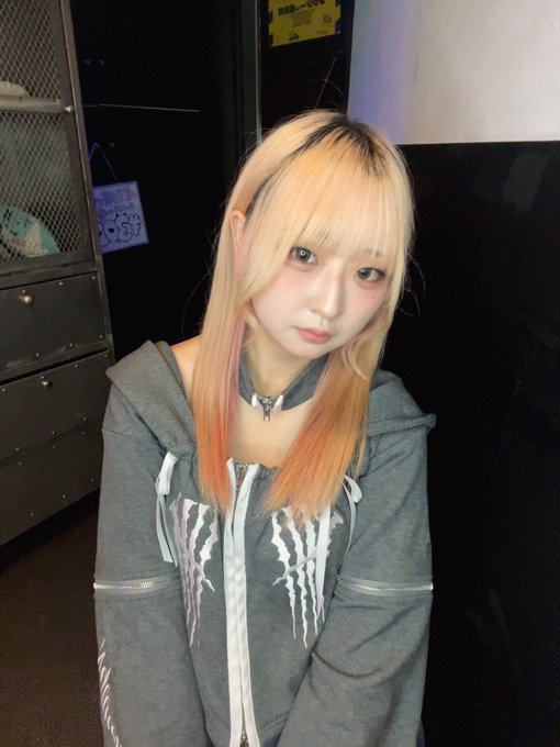 ノラ猫でも愛してくれますか？のツイート