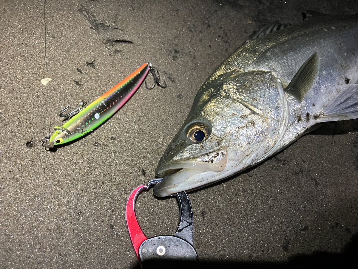 こむかい こうすけ on X