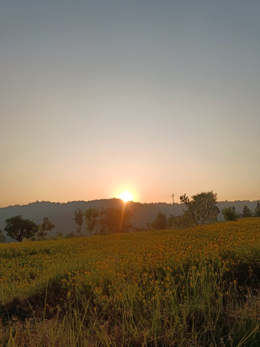 सूर्यदेवले झ्याल्टुङ डाँडाबाट विदा माग्नुभयो ।
