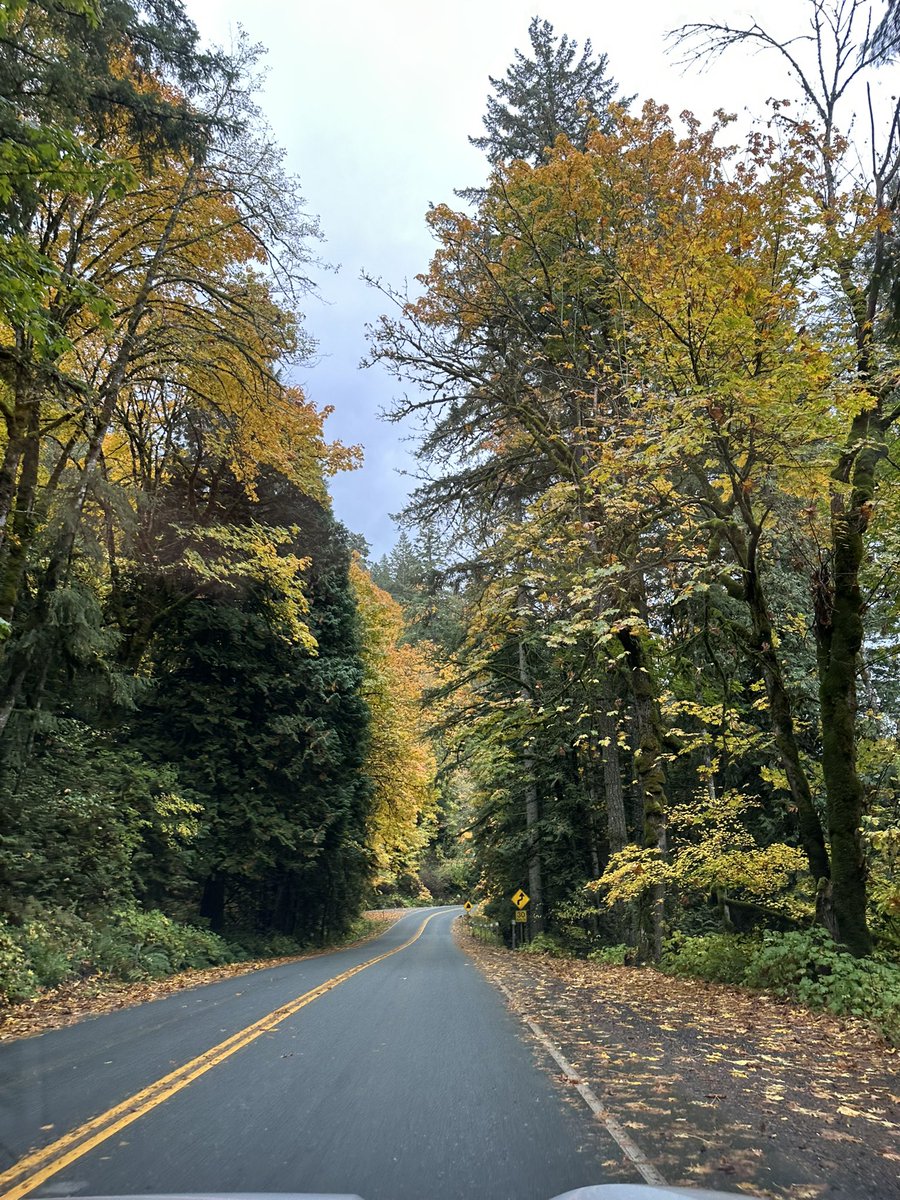 CharleneGroome's tweet image. Good morning #5amwritersclub 
After two big rejections yesterday, I’m putting it behind me. Today is a new day. I’m pitching my stories and editing a story I’m proud of. #positivemindset #writingjourney