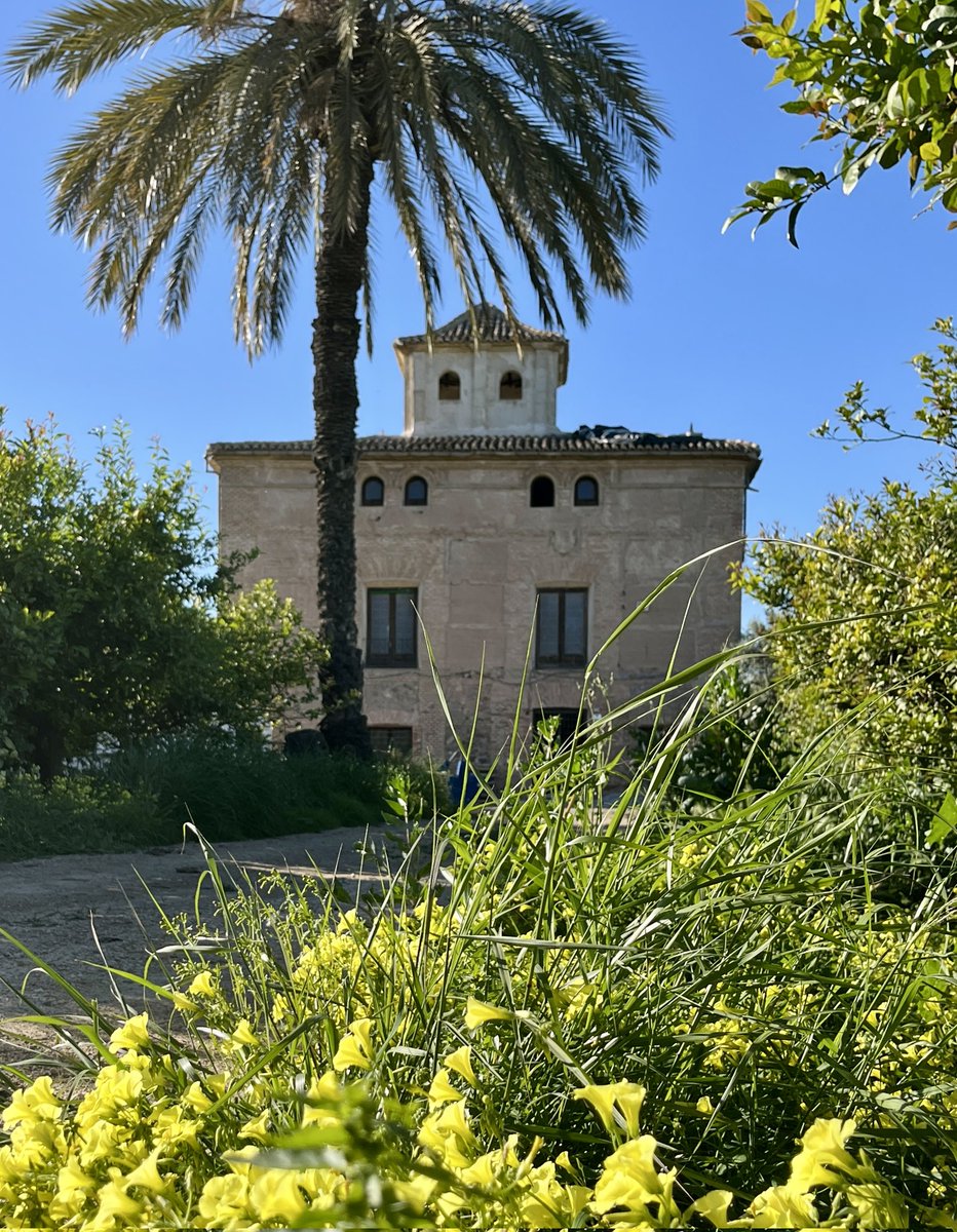 🍋 En el S. XIX había más de 200 casas torre en la Huerta de #Murcia.  🏡

Hoy no llegan a 30, casi todas en estado ruina.

Un esfuerzo de las administraciones que recupere el mayor número de ellas no sería mala cosa. 

🍅  Casa torre Almodóvar
🥬  Los Ramos