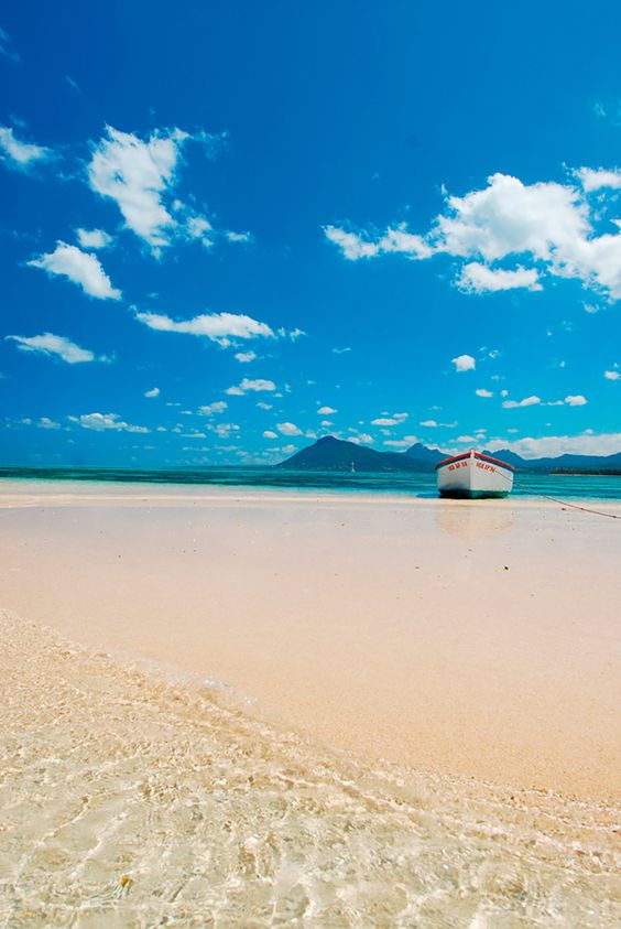 MauritiusGuide's tweet image. Wednesday in Mauritius 
Vitamin SEA