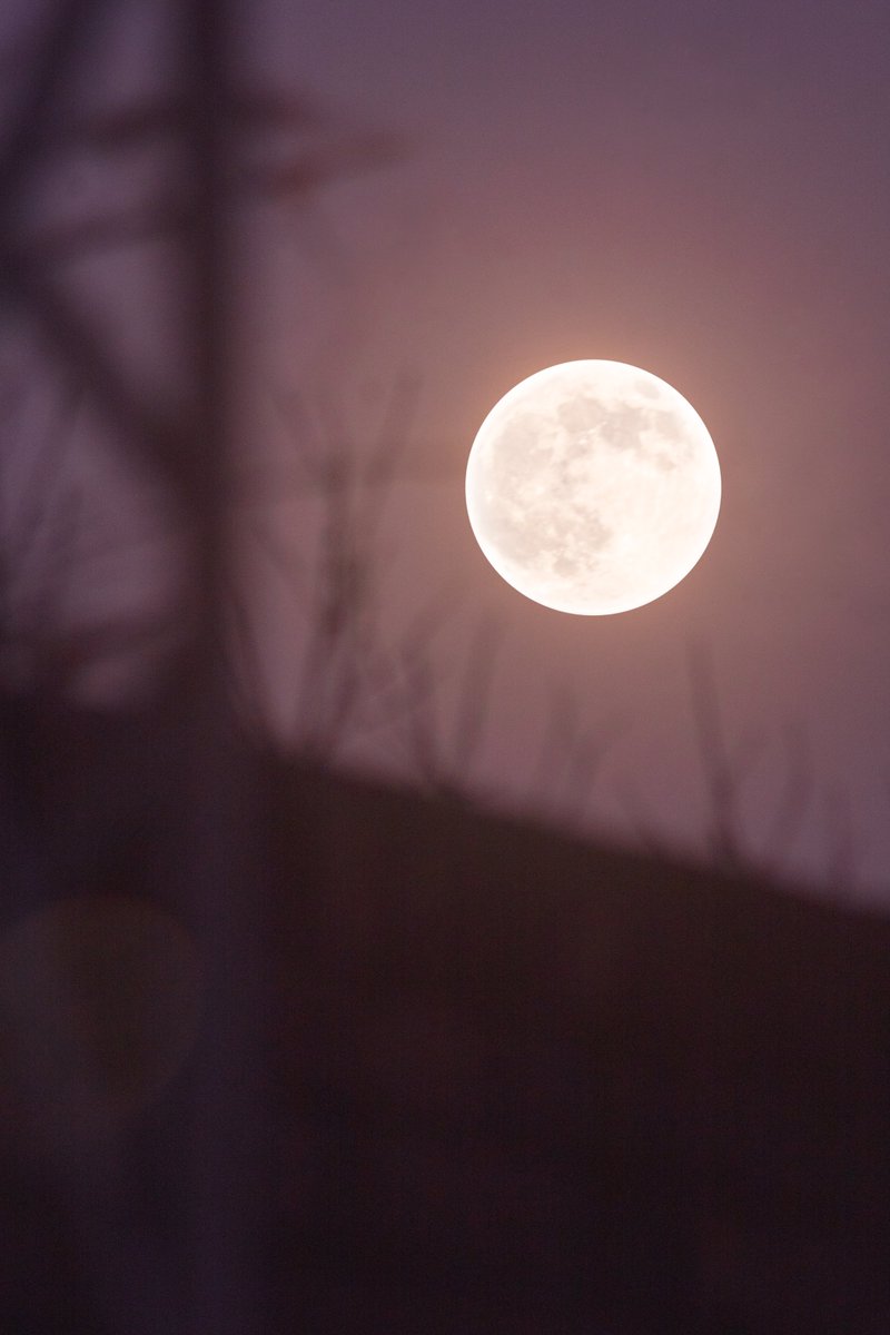 The Rise of Beaver's Full Moon 2025