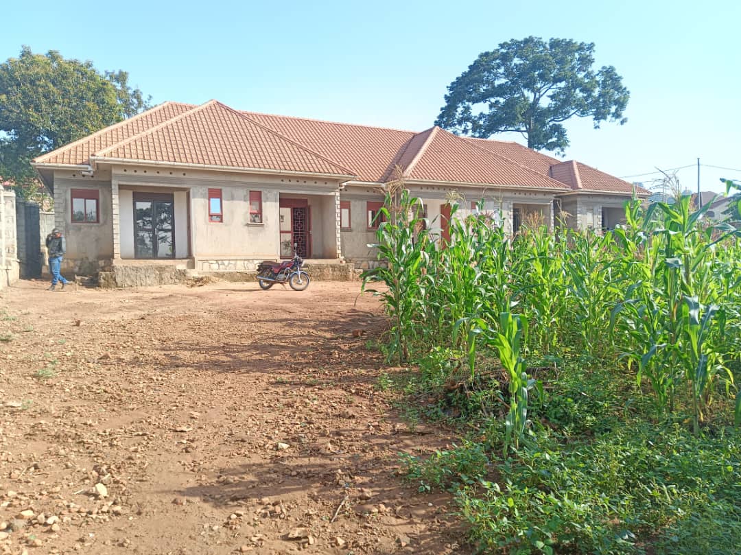 shukranproperty's tweet photo. RENTALS FOR SALE IN MUKONO TOWN 

Located at Mukono Near Uganda Christian University

5 big Double self contained rooms

Seated on 25 Decimals~100ft by 100ft

Private Mailo Land title

More big  space for other units

Selling Price #170m Ugx ( last)

0706592177 https://t.co/52bhv0hscj