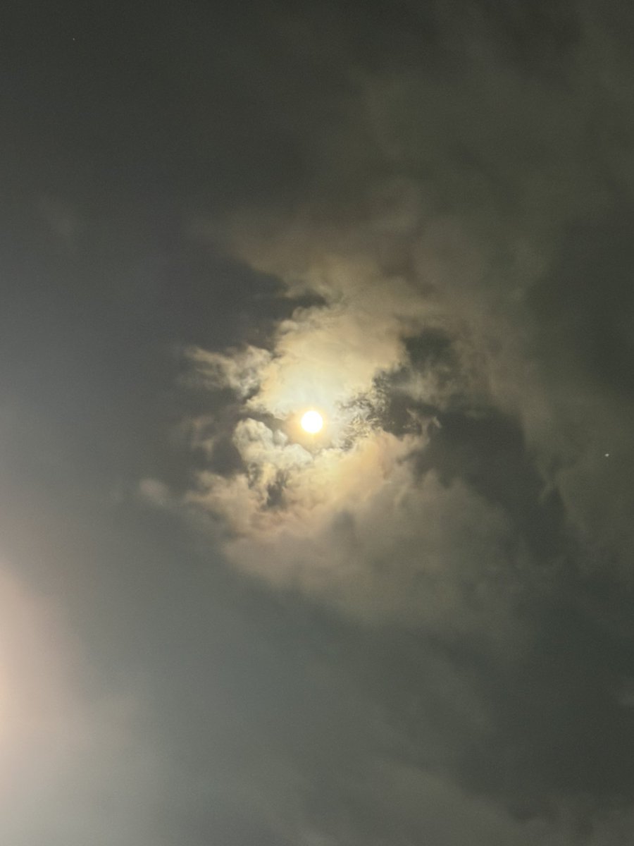 gPVCAPR3fo2sSDH's tweet image. スーパームーン🌕
月見団子買えなかったー
#スーパームーン11月5日
#月見団子