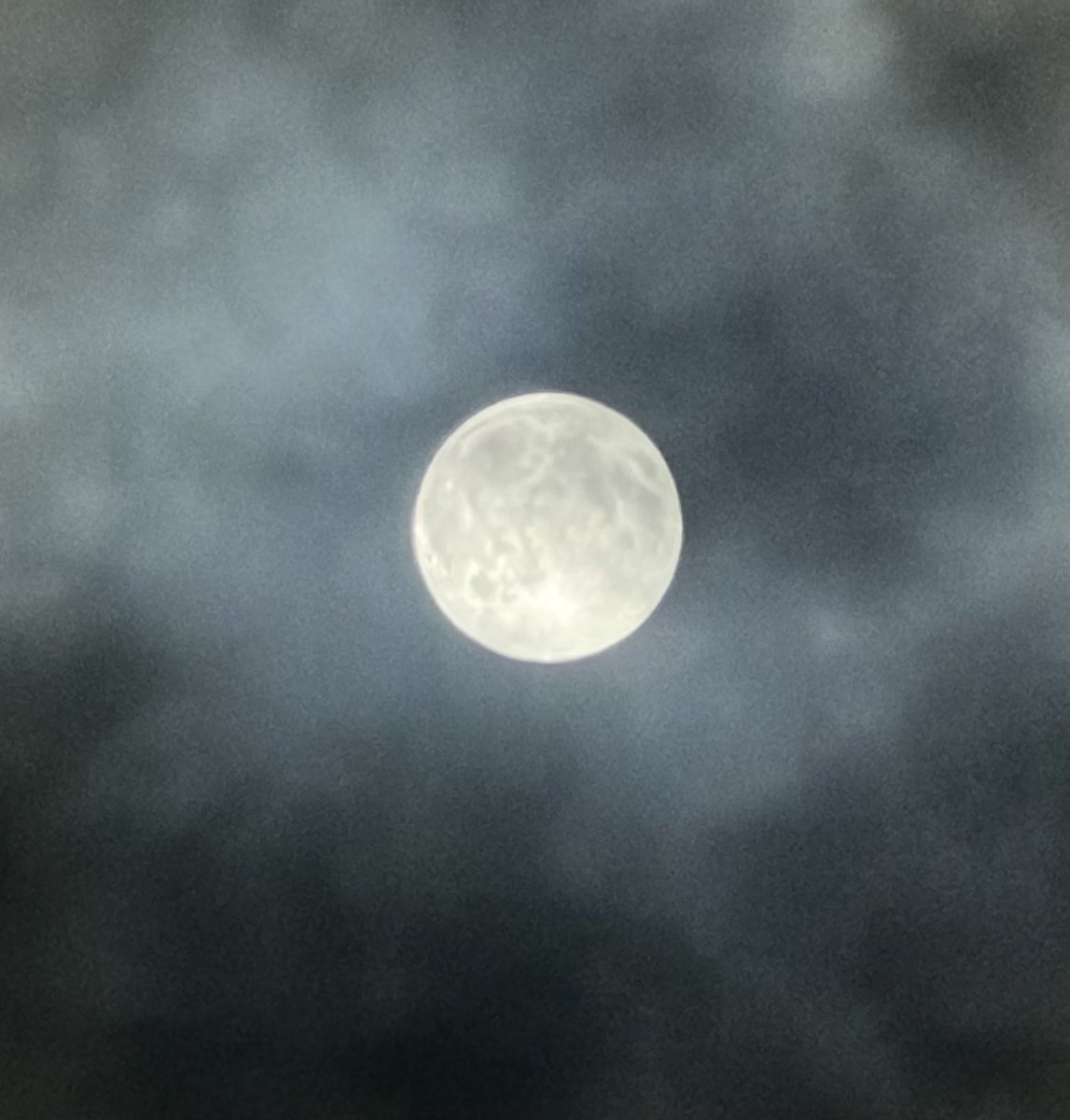 gPVCAPR3fo2sSDH's tweet image. スーパームーン🌕
月見団子買えなかったー
#スーパームーン11月5日
#月見団子