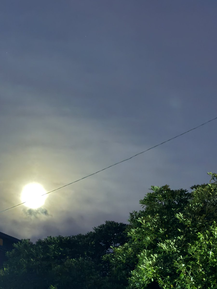 gPVCAPR3fo2sSDH's tweet image. スーパームーン🌕
月見団子買えなかったー
#スーパームーン11月5日
#月見団子