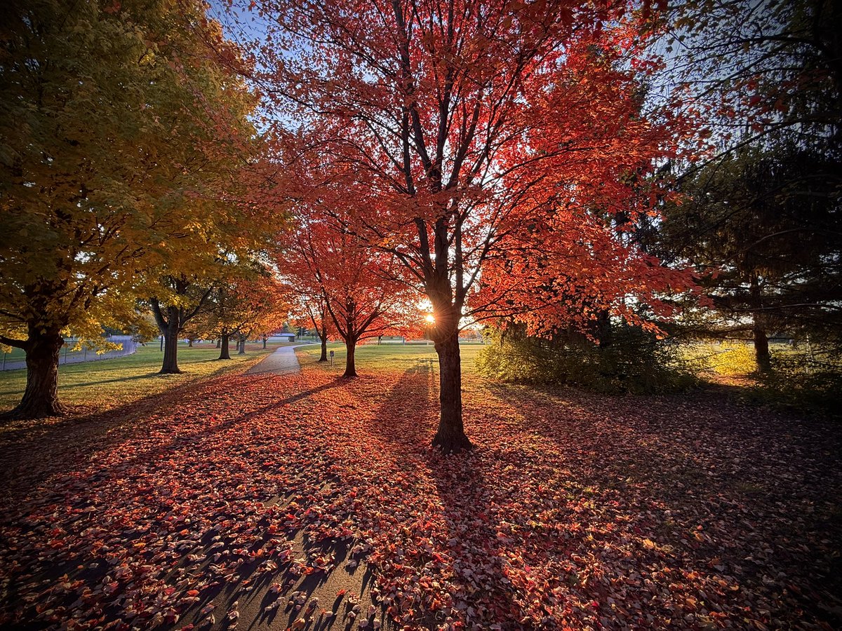 Good morning from Indiana. After an early hospital visit in Indy, I reached Greenfield as light rose over Brandywine Park. Sunrise feels like God whispering the story is not over, mercy is not rationed, and grace meets us again. Step into today with trust in the One who holds it.