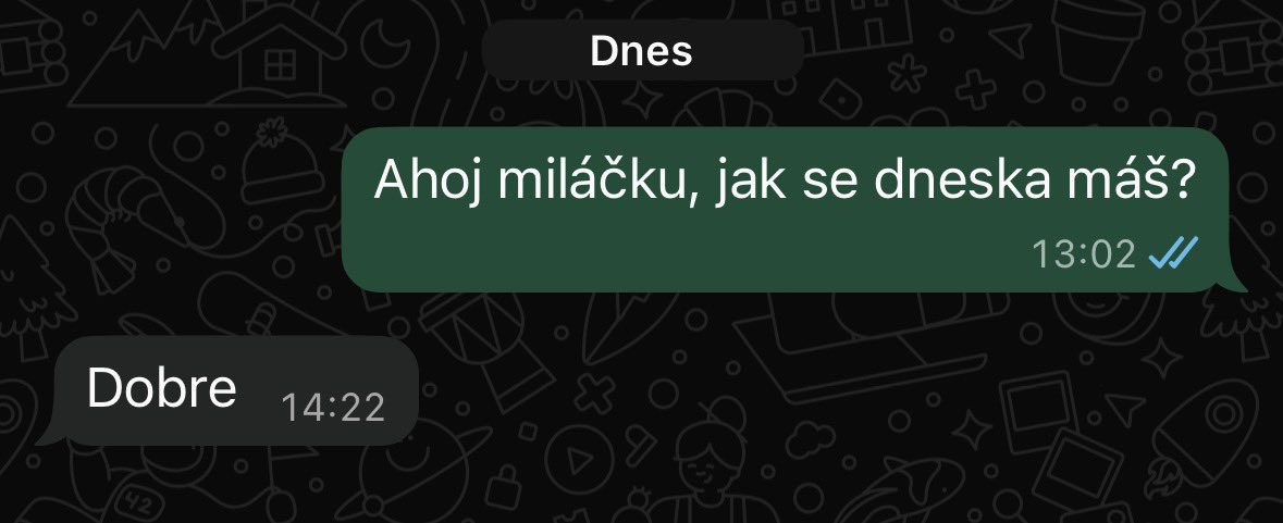 Princezna z Brna tweet media