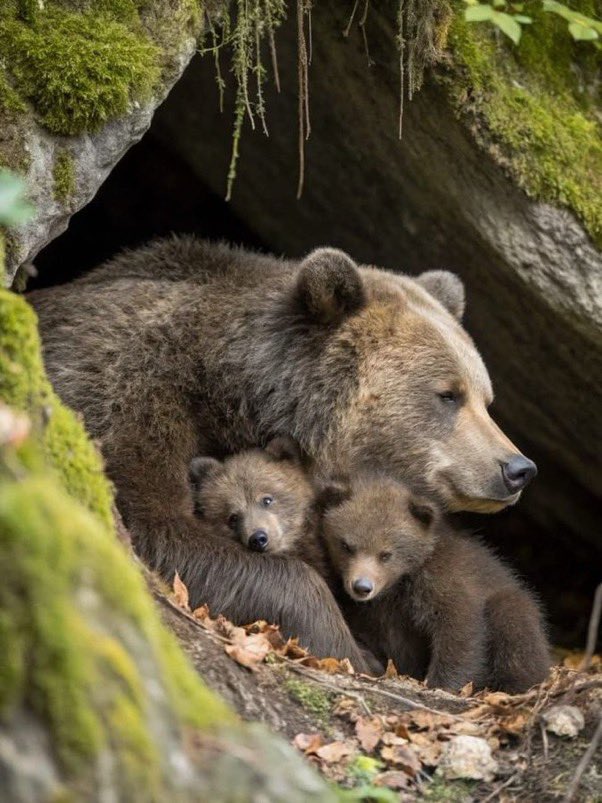 KAZU競馬(牡40) on X