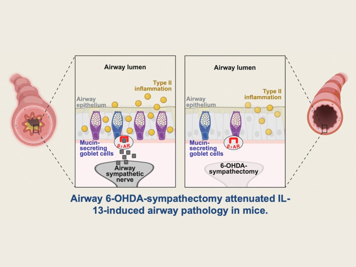 UF McKnight Brain Institute tweet media