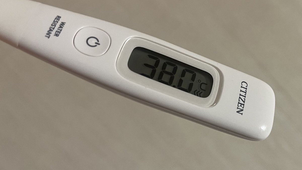 完全に熱がぶり返した感じあるのぅ