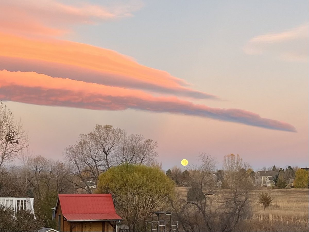 Dana ☀️ Coffield tweet media