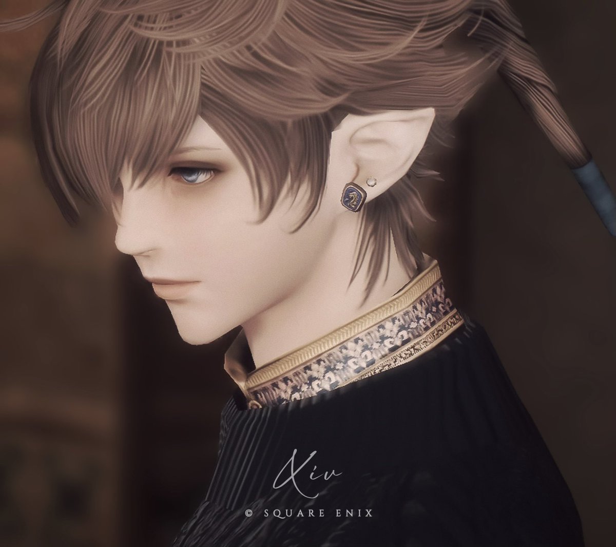 お気に入りの60青魔のアクセ
他のジョブで普段使いできるようになるの嬉しい