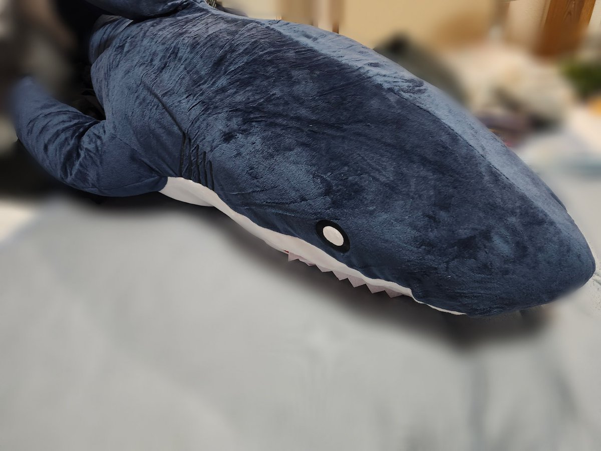 そういえば、今日GIGOのクレーンゲームで、それぞれ100円ずつで来てくれた、
カリスマ伊藤ふみやと、
大体120㌢？ぐらいあるデカさめですかわいい