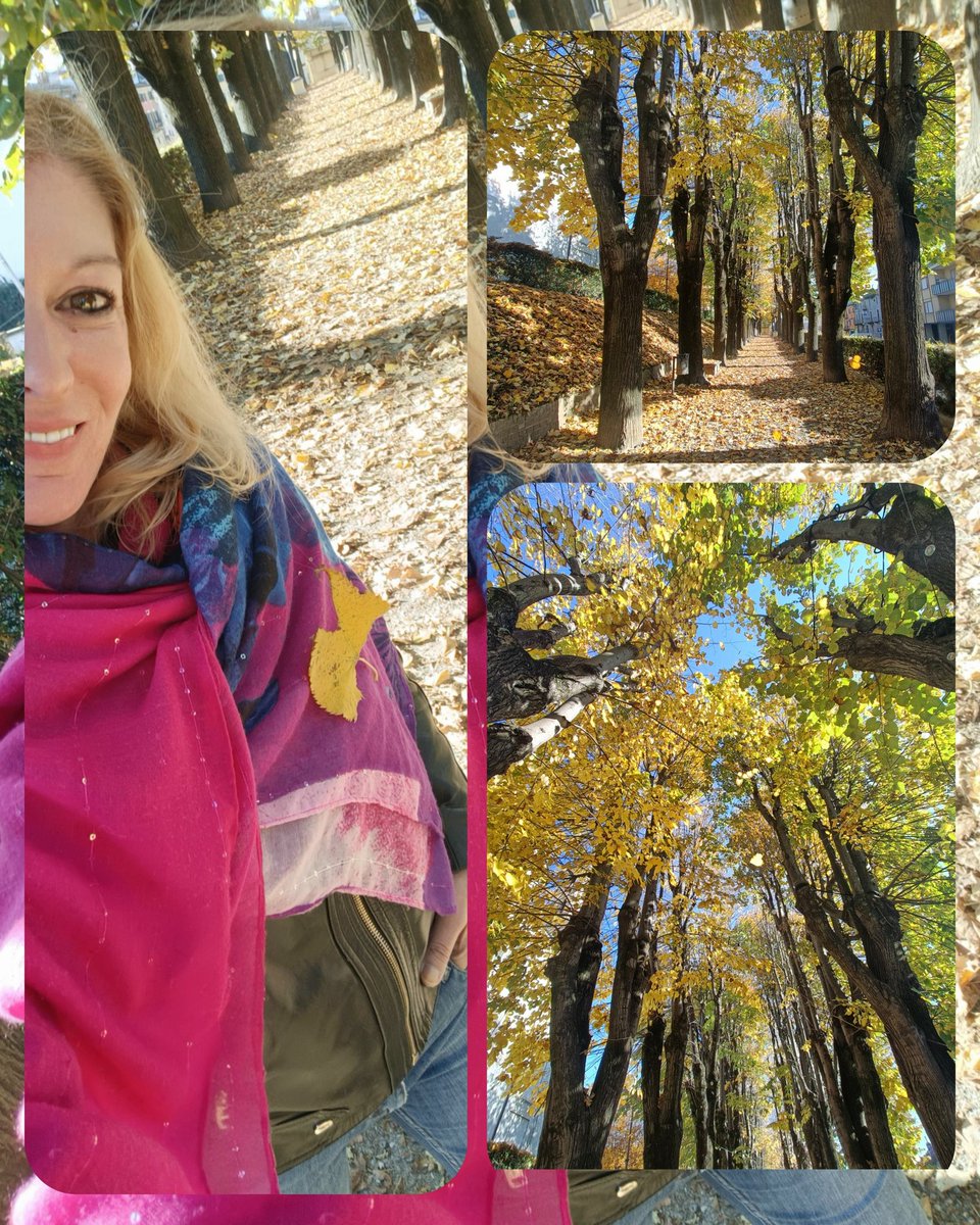 Silvia💞 tweet media