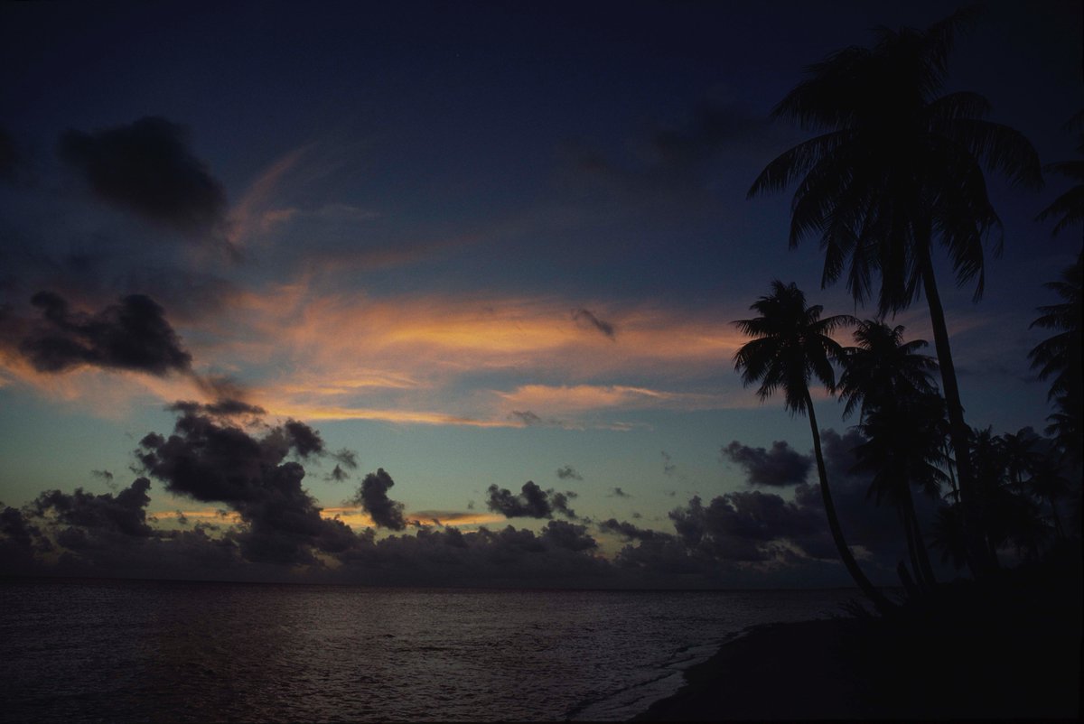 11 Dec. 1989
Kia Ora Village Hotel, Rangiroa, Tahiti
ビーチの夕日。80年代の終わり。日本の最後の輝き。1990年はさらなる飛躍の年だと、ほとんどの人が信じていたが、90年は株価の大暴落から始まった。
#80年代 , #昭和の風景, #昔の写真, #昭和, #ちょっと昔, #Tahiti, #Rangiroa