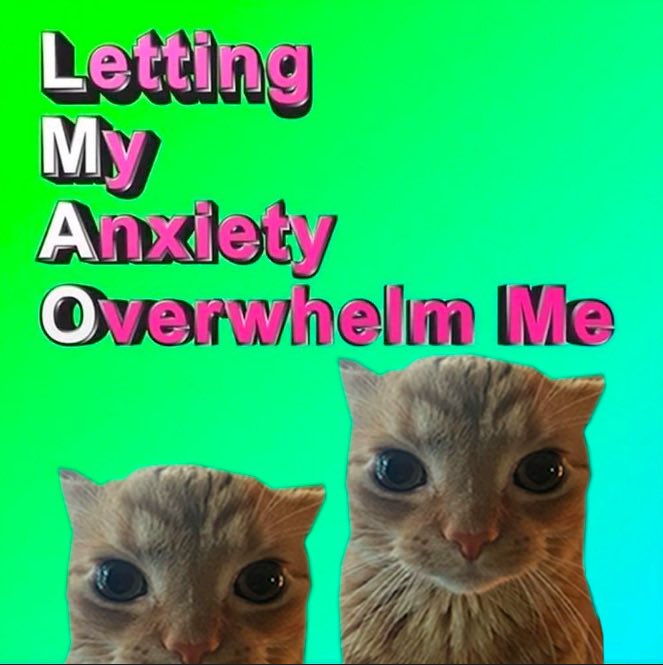 gakstercat's tweet image. 