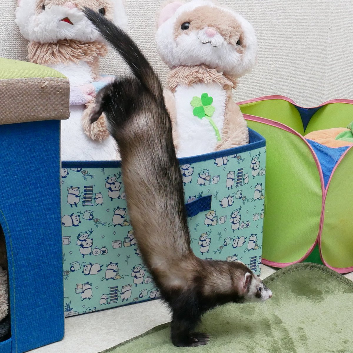 あっきー様ʢ☘︎-·̮•̯ʡʢ•̯·̫-☀︎ʡ on X