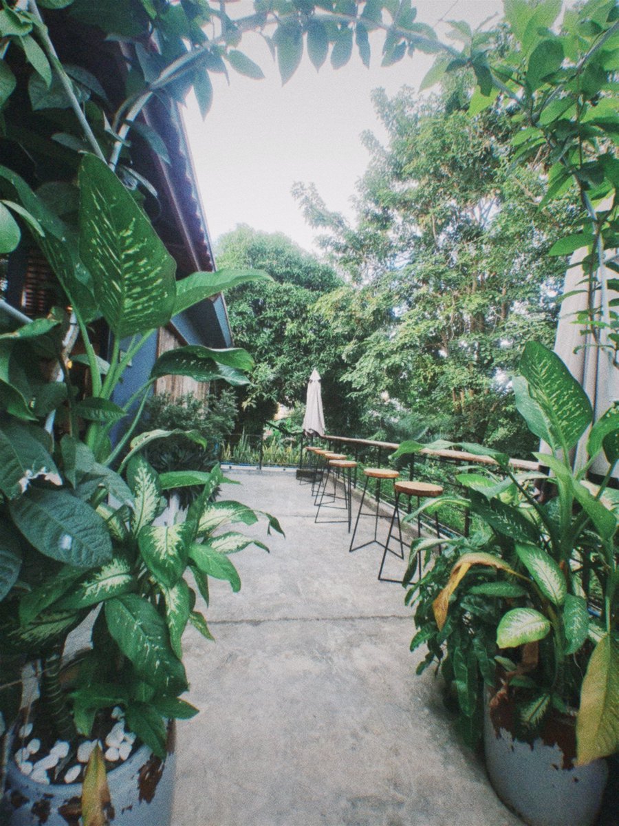 Sreypich_21's tweet image. It's a time to recharge ✨️
#Breadtime #Nature