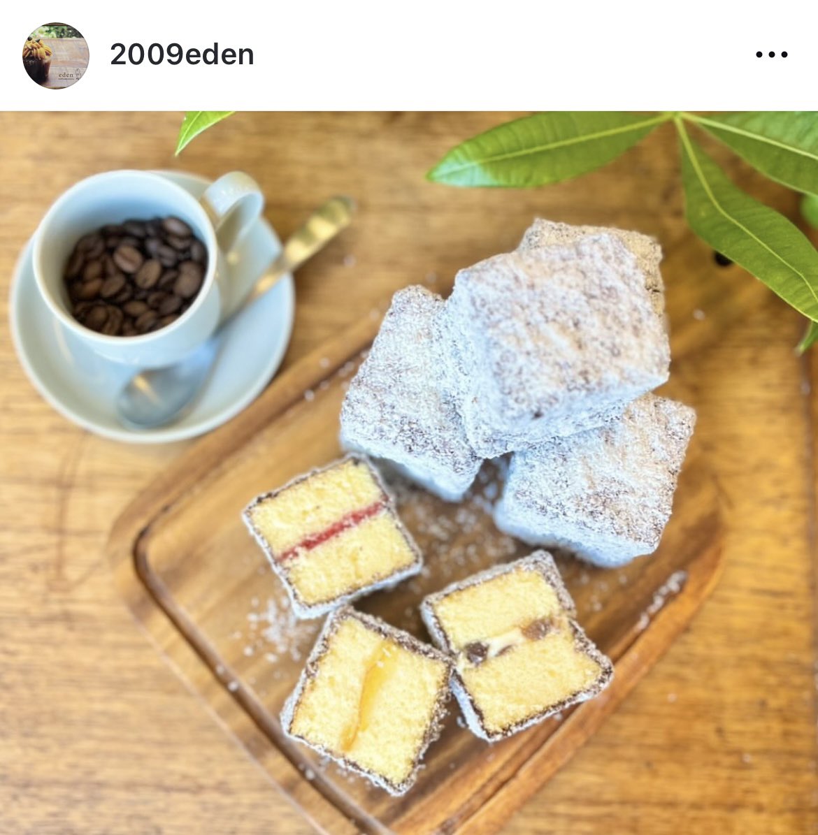 ︎︎まみ@万博65回・万博グルメ記録 (@_0816____) / Posts / X