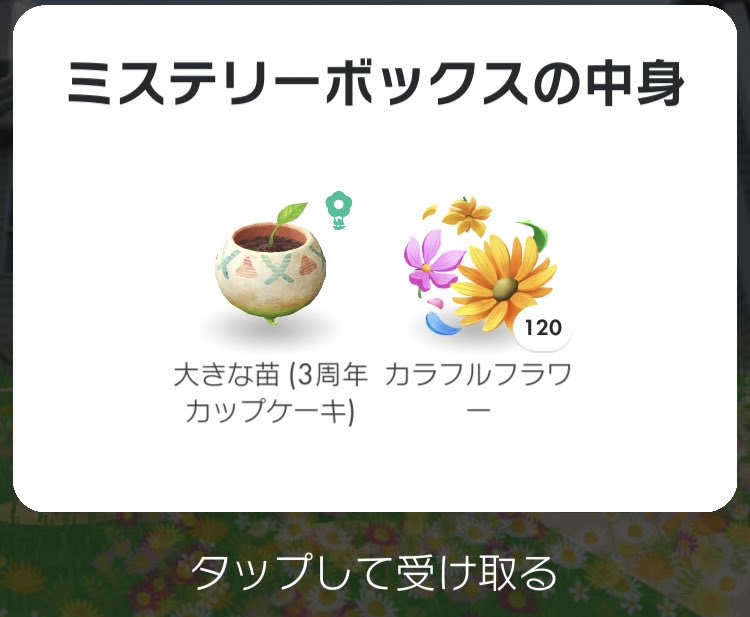 O ❤ジャスミン❤　3.28撮影☘️　抜き苗です O ❤ジャスミン❤ 3.28撮影☘️ 抜き苗です