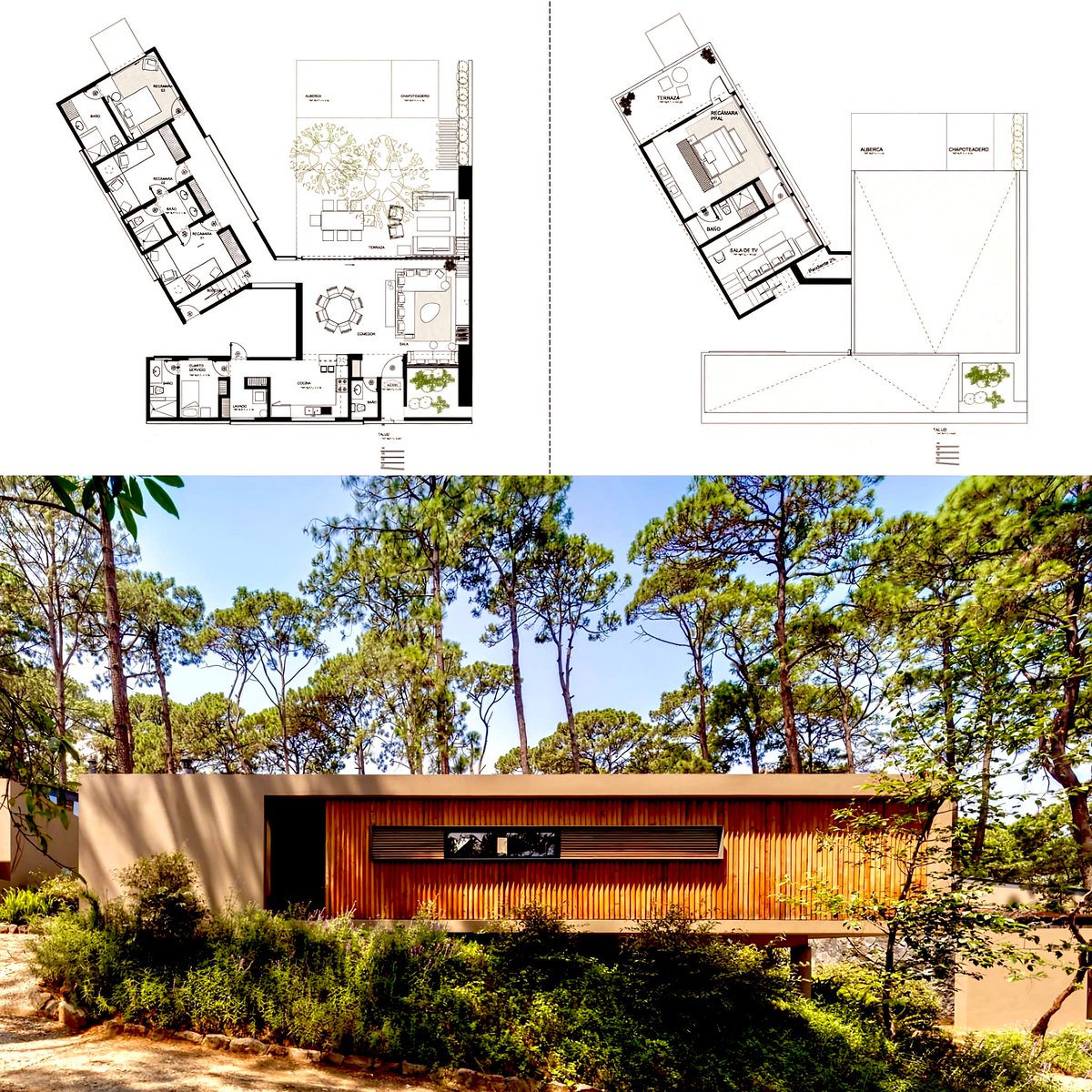 • Orlando • tweet media