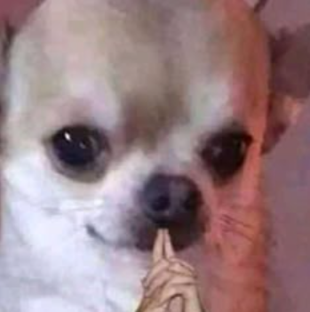 Cape 👊 tweet media