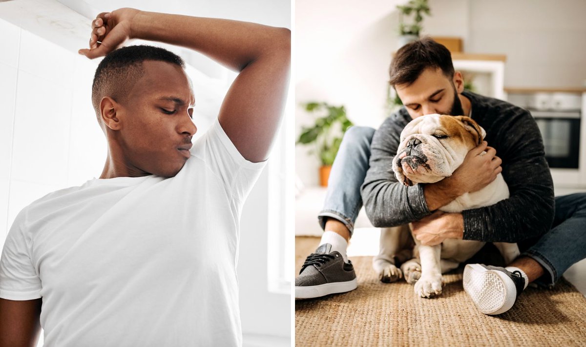 cheapism tweet media