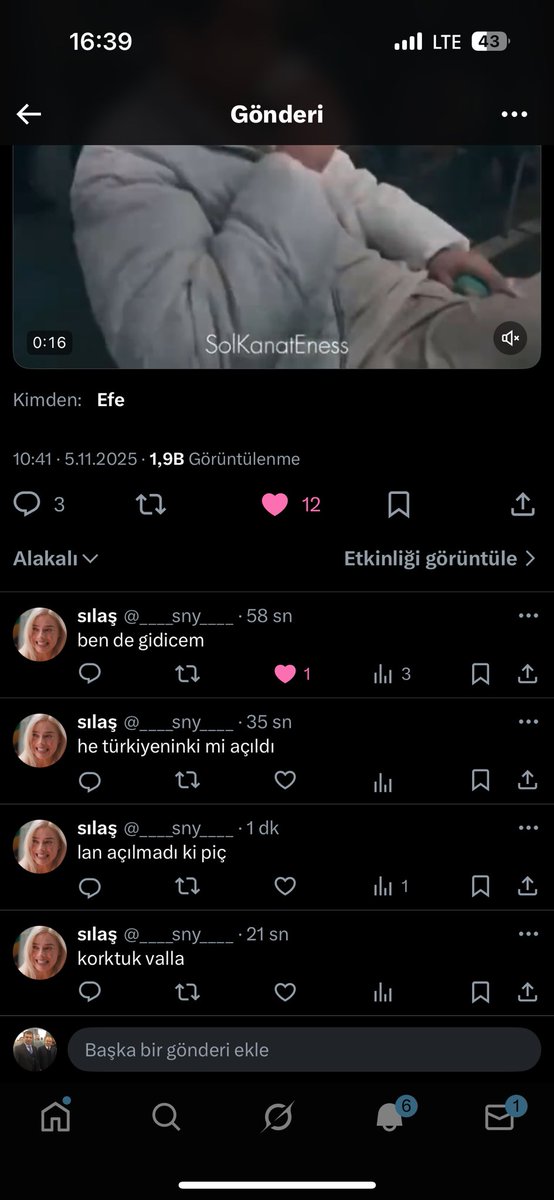 lavuk whatsapp sandı