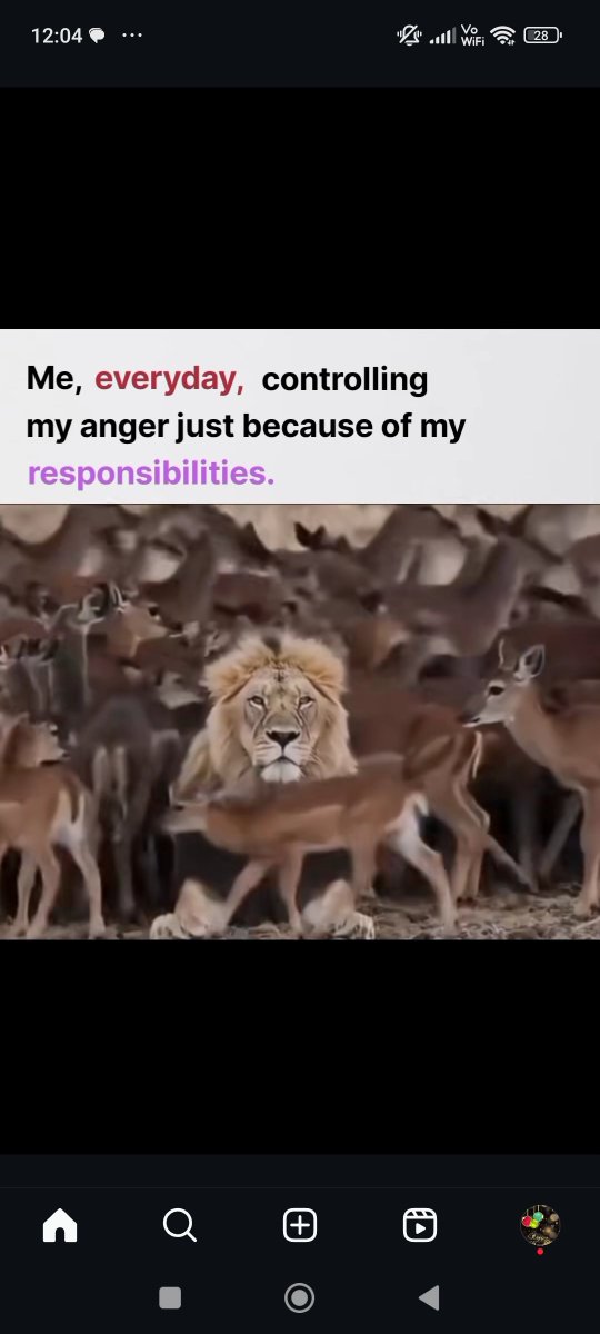 royal_demon56's tweet photo. Today's my attitude https://t.co/RHiFEMWKfG