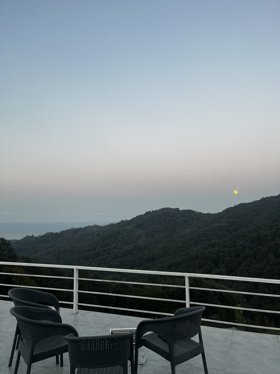 کاش می‌شد زیباییش رو تو عکس جا داد 🌕🌊
همنشینی ماه، جنگل و دریا
رامسر زیبا