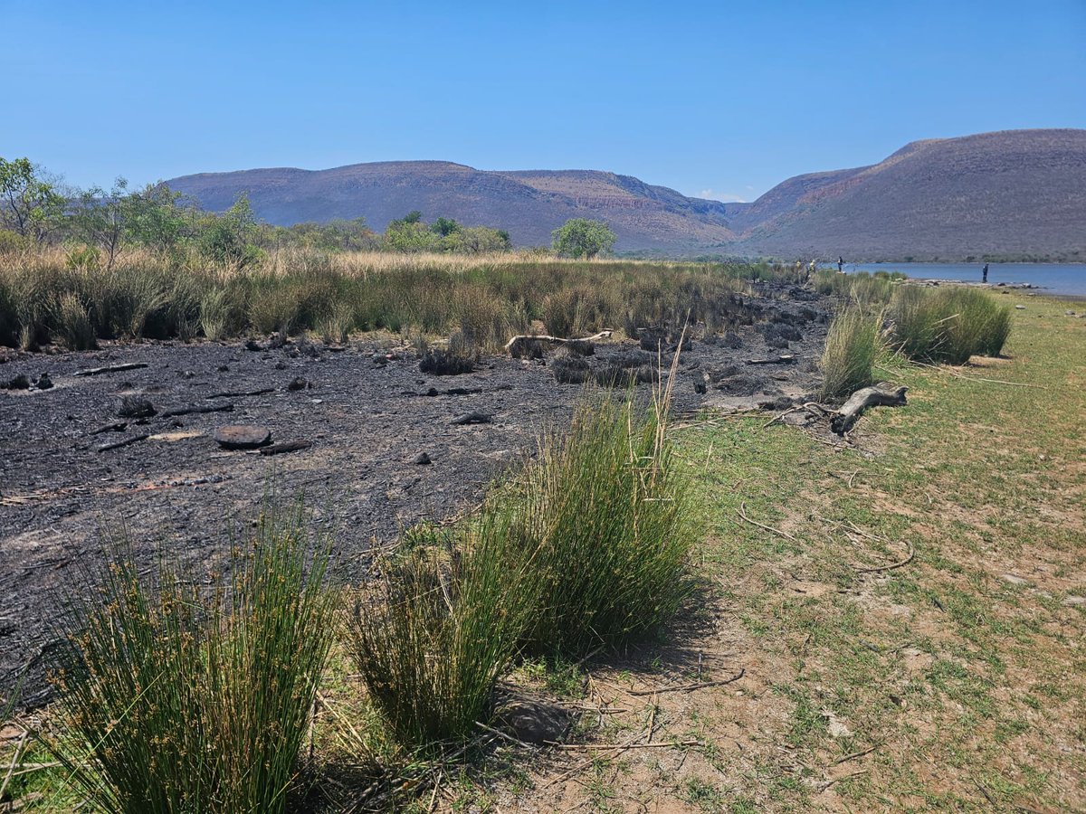 At Loskop Dam, our team and Working on Fire carried out a small controlled burn to clear rubbish and old vegetation from last year’s floods. Let’s keep this beautiful dam clean for ourselves and the wildlife that call it home. Thanks to the incredible firefighters. #wewildafrica