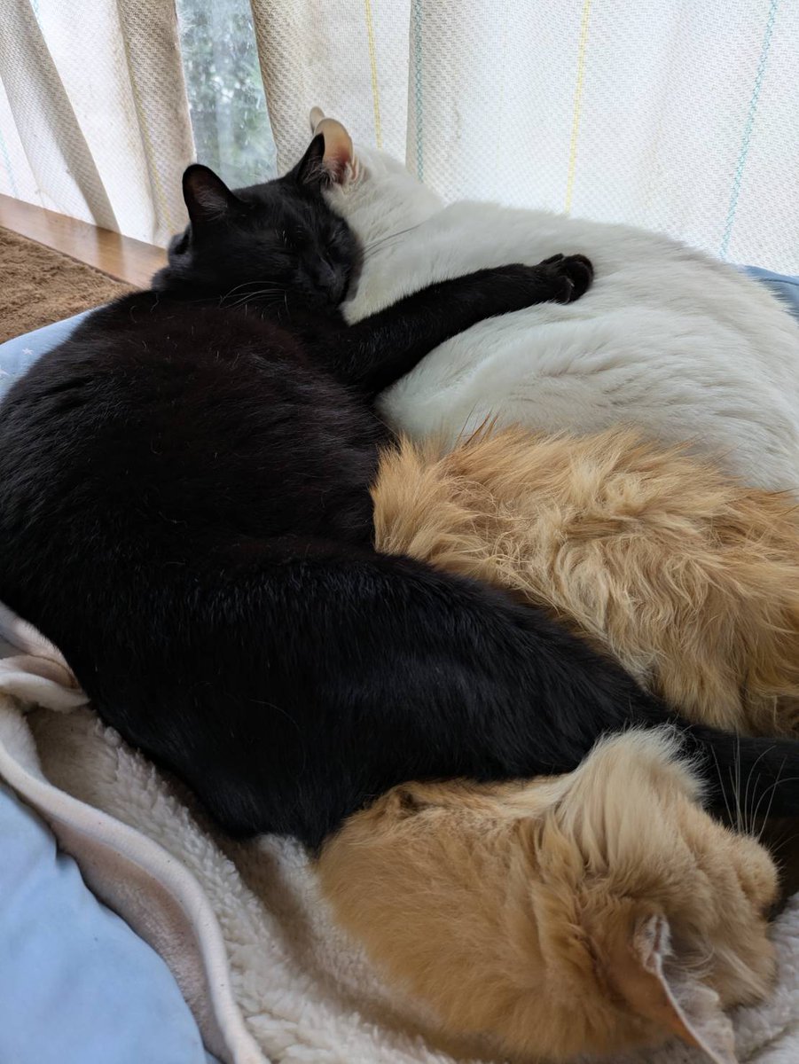 れおちゃん れおみお (@reomio_fuku) • Instagram photos and videos